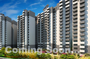 project-image-6